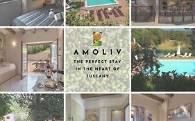 Amoliv